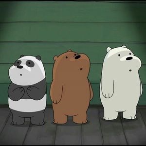 Meet your Posher, Meredith